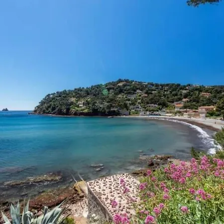 Σπίτι διακοπών Maison Bois Atypique *