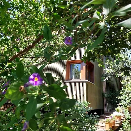 Maison Bois Atypique La Seyne-sur-Mer